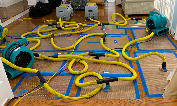 Professional Crawl Space Water Removal technician working in Oak View, CA